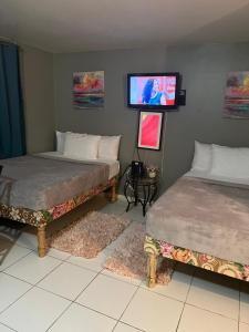 a room with two beds and a tv on the wall at Malibu Ocean View Studio in Montego Bay