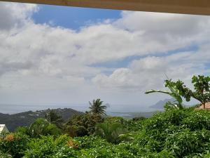 a view of the ocean and mountains from a garden at KAY MIT et KAY JACKO in Sainte-Luce