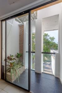una puerta de cristal abierta en una casa con una planta en Apartamento rústico industrial , enfrente de hotel prado, en Barranquilla