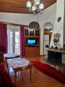 sala de estar con chimenea y TV en Margarita - Entire house with 4 bedrooms and free parking, en Gjirokastra