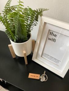 a framed picture and a potted plant on a table at Brampton Holiday Cottage @ 4 Gelt Road in Brampton
