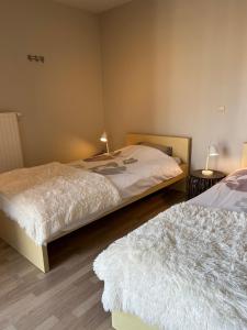 een slaapkamer met 2 bedden en een tapijt op de vloer bij App Zouavenplein 0403 in Koksijde