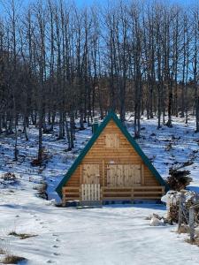 ein Blockhaus mit einem grünen Dach im Schnee in der Unterkunft Forest rest in Plužine