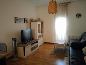 a living room with a television and a couch at Mirador de las cigüeñas in Zamora