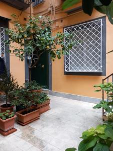 una puerta delantera de una casa con macetas en Porto 55 en Nápoles