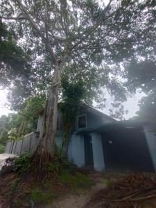 a house with a tree in front of it at Chalé Mar Aberto in Porto Seguro