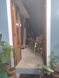 a cat is sitting in the hallway of a house at Chalé Mar Aberto in Porto Seguro