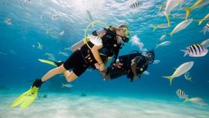 2 personnes faisant de la plongée sous-marine dans l'eau avec des poissons dans l'établissement KonkanParadise,Hotel Malvan Beach, à Malvan