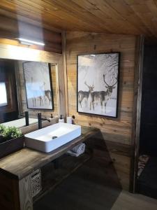 a bathroom with a white sink and deer pictures on the wall at Chalet con vistas al lago Matemale en Les Angles in Les Angles