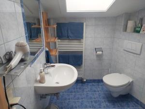 uma casa de banho com um lavatório e um WC em Haus Holzer em Dorfgastein