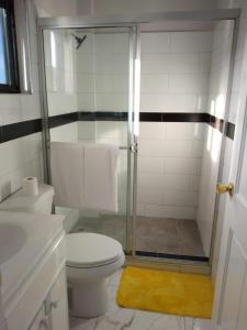 a bathroom with a shower with a toilet and a sink at MisBHaven Resort and Spa in Port Antonio