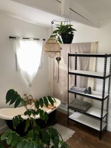 a bathroom with a sink and a shelf with plants at Urban Plett in Plettenberg Bay