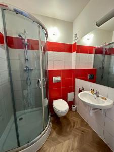 W łazience znajduje się prysznic, toaleta i umywalka. w obiekcie Apartamenty Planeta 212 Mielno centrum 100 m do morza w mieście Mielno