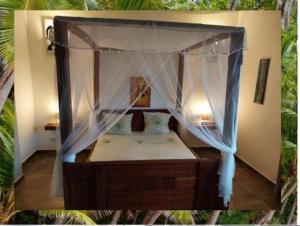 a bedroom with a canopy bed with a net at OROKA EDEN in Ambondrona