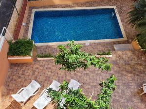 an overhead view of a swimming pool with chairs and plants at Drake Bolivar Santo Domingo in Santo Domingo
