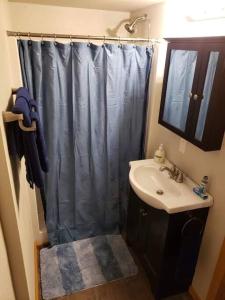 y baño con cortina de ducha y lavamanos. en Beaver Lake Arkansas Luxury Cabin, en Rogers