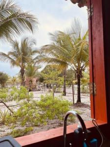 Elle offre une vue sur les palmiers depuis sa fenêtre. dans l'établissement Casa Hibiscus - Caraíva/BA, à Porto Seguro
