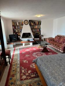 a living room with a couch and a fireplace at VILLA TARA in Quercianella