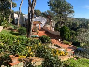 a house with a garden with trees and flowers at VILLA TARA in Quercianella