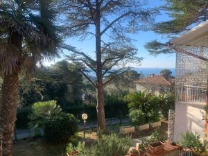 a view of a garden with a palm tree at VILLA TARA in Quercianella