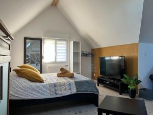 sypialnia z łóżkiem i telewizorem z płaskim ekranem w obiekcie Le Clos des Maraîchers w mieście Village-Neuf