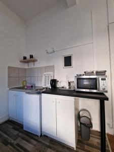 a kitchen with a microwave and a sink at Le Klein, Studio au calme au centre de Besançon in Besançon