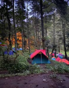 un groupe de tentes assises dans les bois dans l'établissement Nyiak Tanjuang camp area, 