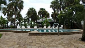 a swimming pool with chairs and palm trees at The Conch House Marina Resort in St. Augustine +4 photos