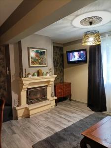a living room with a fireplace and a tv at La Villa Perigourdine in Sarlat-la-Canéda