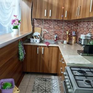 a kitchen with wooden cabinets and a sink and a stove at Pensiunea Sara in Dâmbovicioara