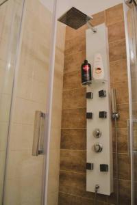 y baño con ducha y puerta de cristal. en Stelios apartment en Kastoria