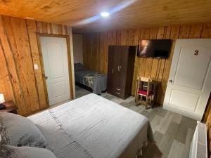 Habitación con 1 cama y 1 dormitorio con paredes de madera. en Hostal Rama Fueguina, en Teodoro Schmidt