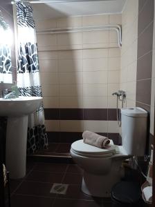 Vonios kambarys apgyvendinimo įstaigoje Ioa Loft