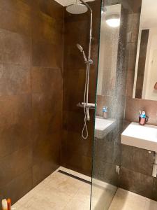 una ducha con una puerta de cristal junto a un lavabo en Appart lux, en Luxemburgo