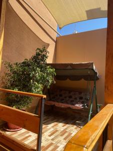 Hostal doña irene في فيكوينا: غرفة بها سرير وزرع الفخار