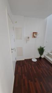 a white room with a potted plant on a wooden floor at Atico TERRAZA DEL CARMEN in Salobreña