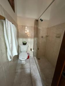 y baño con aseo y ducha. en Hotel Bello Caribe en Cozumel