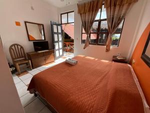 een slaapkamer met een bed, een tv en ramen bij Hotel Bello Caribe in Cozumel