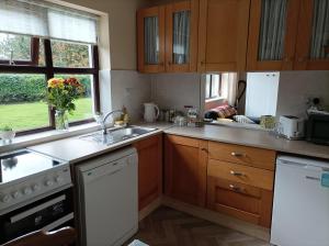 a kitchen with a sink and a dishwasher at The Croft Apartment in Westport