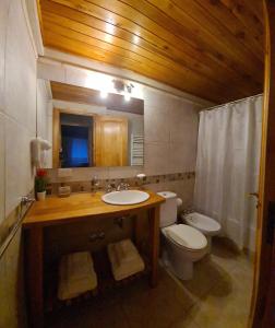 ein Badezimmer mit einem Waschbecken, einem WC und einem Spiegel in der Unterkunft Departamento Frente al Lago-San Martin de Los Andes in San Martín de los Andes