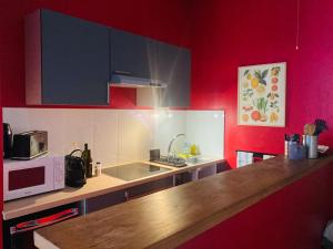 une cuisine aux murs rouges et un comptoir avec un four micro-ondes dans l'établissement Grand studio meublé et équipé plein centre, à Montpellier
