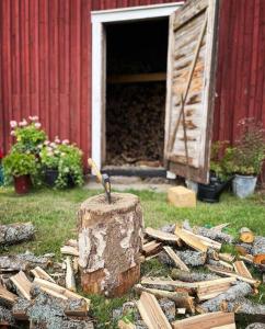 um toco de árvore com um pássaro sentado em cima dele em Gamla gården i Ersmark Umeå em Umeå