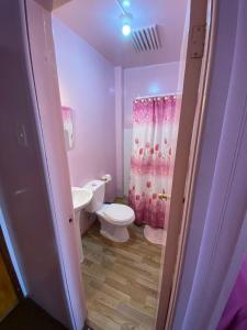 a bathroom with a toilet and a shower curtain at Hospedaje Rios in Osorno