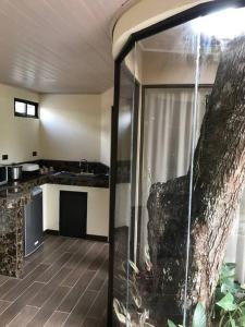 Una cocina con una puerta de cristal que da a una habitación. en Casa del Árbol, en Quepos
