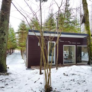 un petit bâtiment dans la neige à côté des arbres dans l'établissement Miško sielos namelis su pirtele, à Aukštelkė