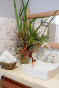 un pájaro sentado en la parte superior de un mostrador con plantas en Casa da Cosmira, en Trancoso