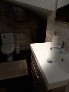 a bathroom with a white sink and a toilet at Roman House Borsa in Borşa