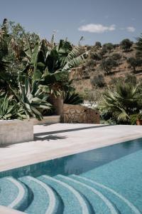 a swimming pool in a yard with plants at Villa Soluna in Vélez-Málaga