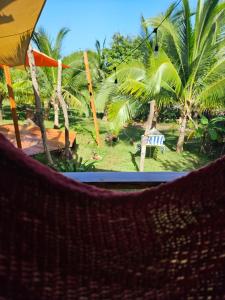 The Lighthouse Retreat, Little Corn island, Nicaragua外面的花园