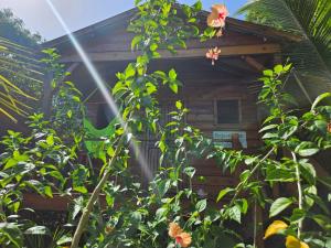 Lighthouse Hotel and Spa, Little Corn island, Nicaragua في جزيرة ليتل كورن: منزل خشبي أمامه زهور